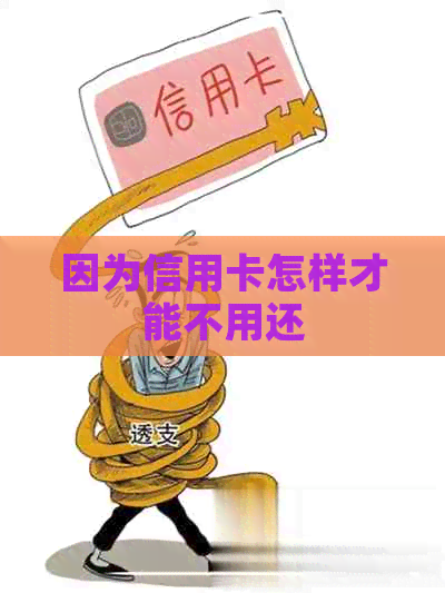 因为信用卡怎样才能不用还