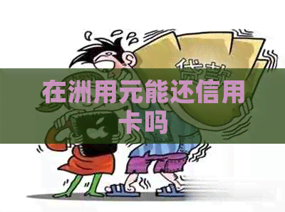 在洲用元能还信用卡吗