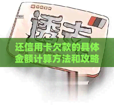 还信用卡欠款的具体金额计算方法和攻略