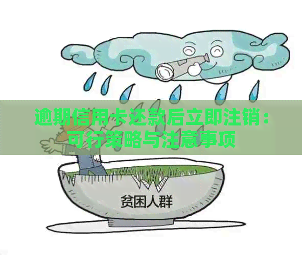 逾期信用卡还款后立即注销：可行策略与注意事项