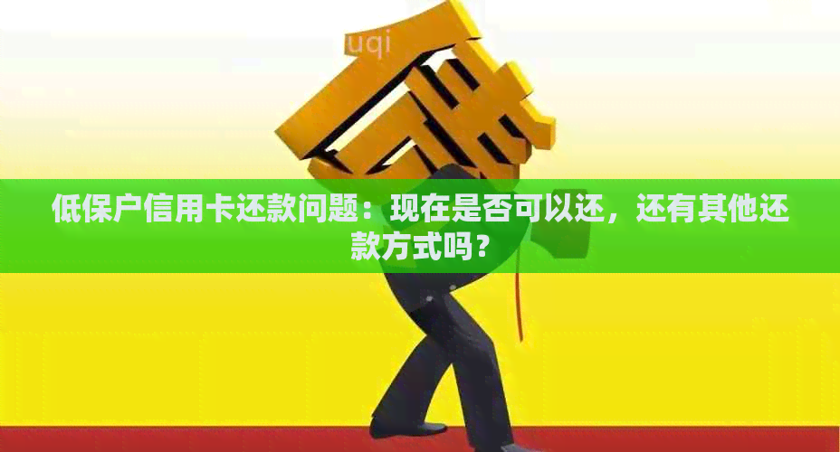 低保户信用卡还款问题：现在是否可以还，还有其他还款方式吗？