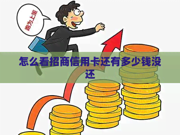 怎么看招商信用卡还有多少钱没还