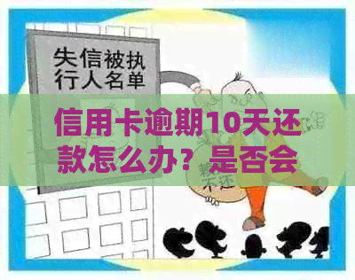 信用卡逾期10天还款怎么办？是否会影响信用及如何解决？