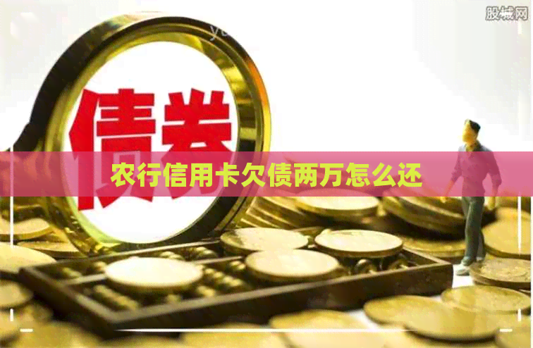 农行信用卡欠债两万怎么还