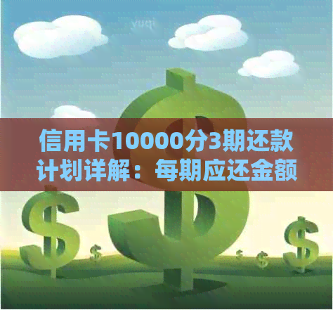 信用卡10000分3期还款计划详解：每期应还金额及总利息分析