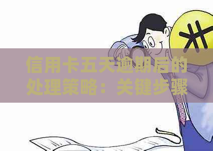 信用卡五天逾期后的处理策略：关键步骤与应对建议