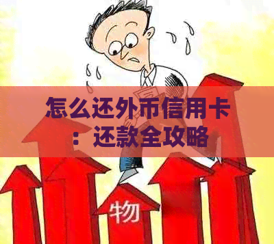 怎么还外币信用卡：还款全攻略