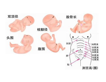 新闻调查：四维彩超预测胎儿长相生成AI照片靠谱吗？商家技术表示及价格一览