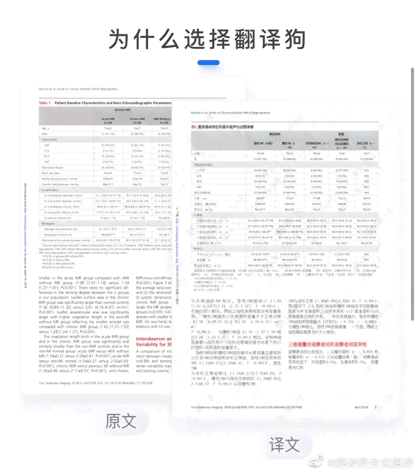 中文作文翻译英文：如何将中文作文精准转换成英文作文软件指南