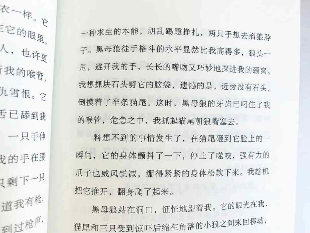 精选作文：我心中的自由篇章400字