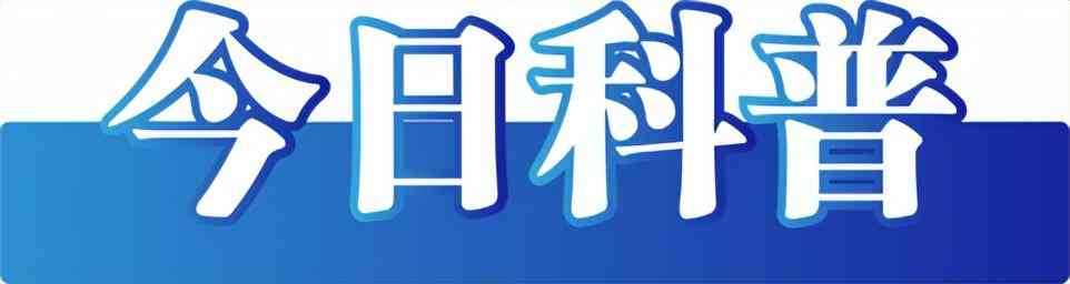 2023浙江省公文AI写作工具评测：盘点热门软件与综合应用指南