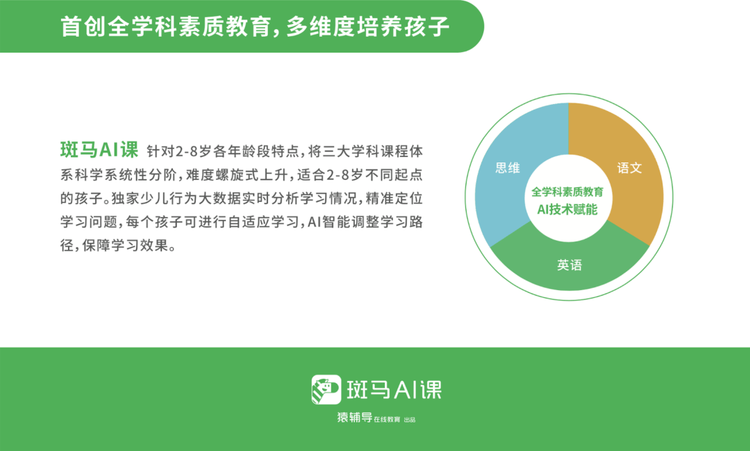 全面剖析斑马AI培训：深入问题分析与解决方案研究