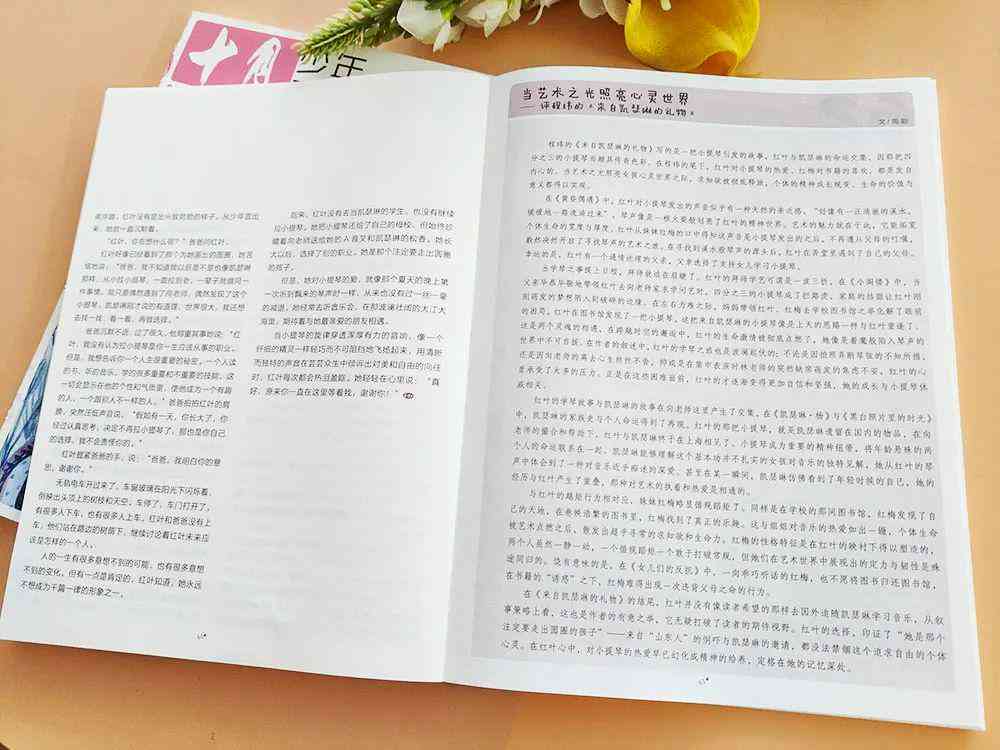 斑马AI培训文库精选：心得体会写作范例与深度剖析