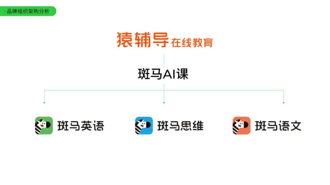 斑马ai培训问题分析