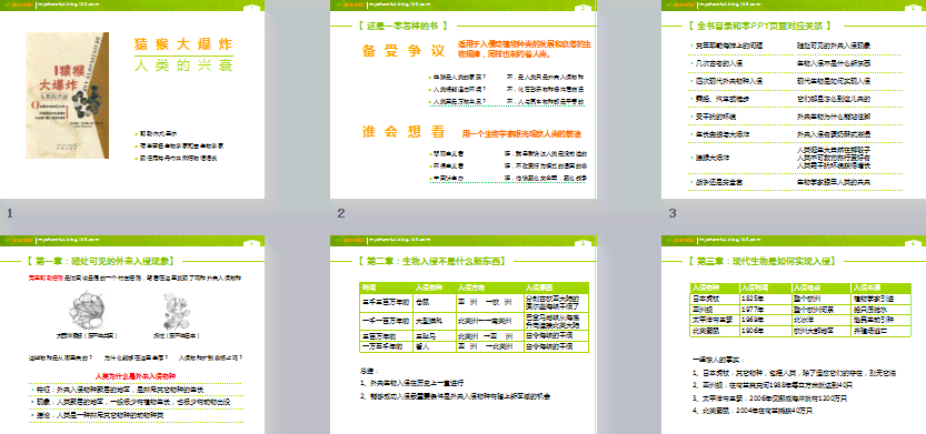 壹伴提供哪些免费模板？全面解析壹伴模板资源及使用攻略