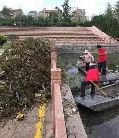 临沂人工智能与设计专业培训机构一览：全方位课程、认证资格、就业指导