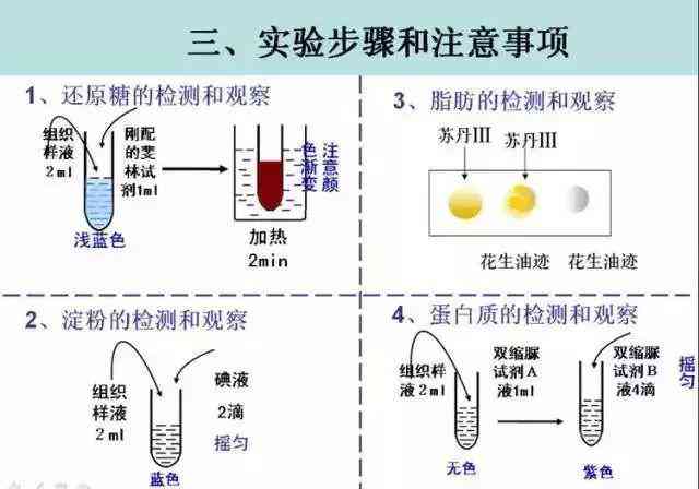 常见不与酸反应的化学物质及其特性解析