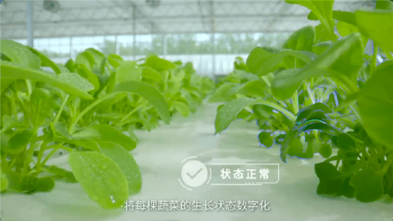 ai植物场景生成