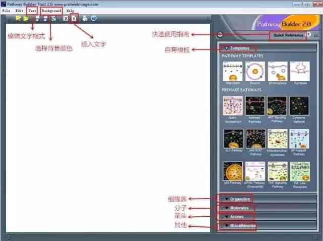 如何使用绘画生成软件绘制动物模型详解教程