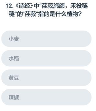 全面教程：特效跳舞模板使用方法与常见问题解答