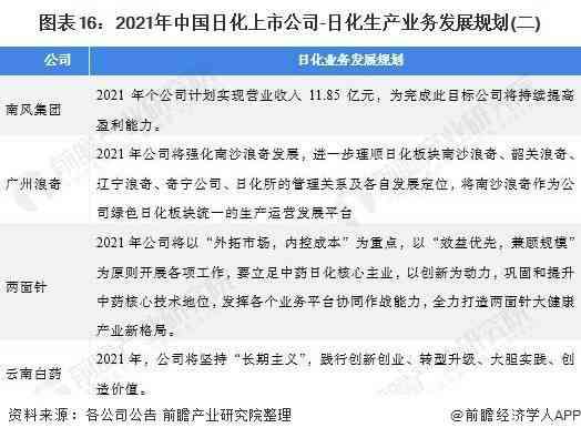 全方位指南：如何撰写详尽的调查报告以满足用户多样化搜索需求