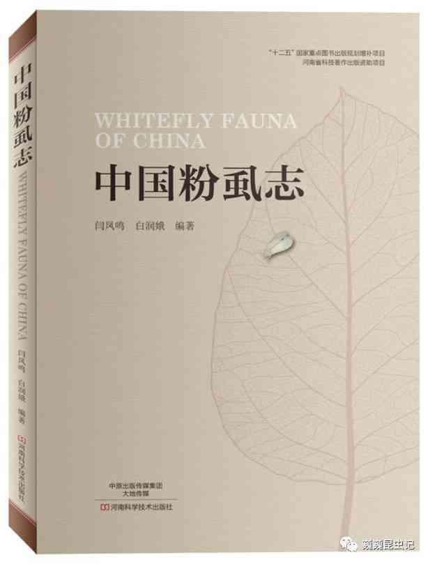 知名作家润：作品全集、生平事迹与创作理念解析