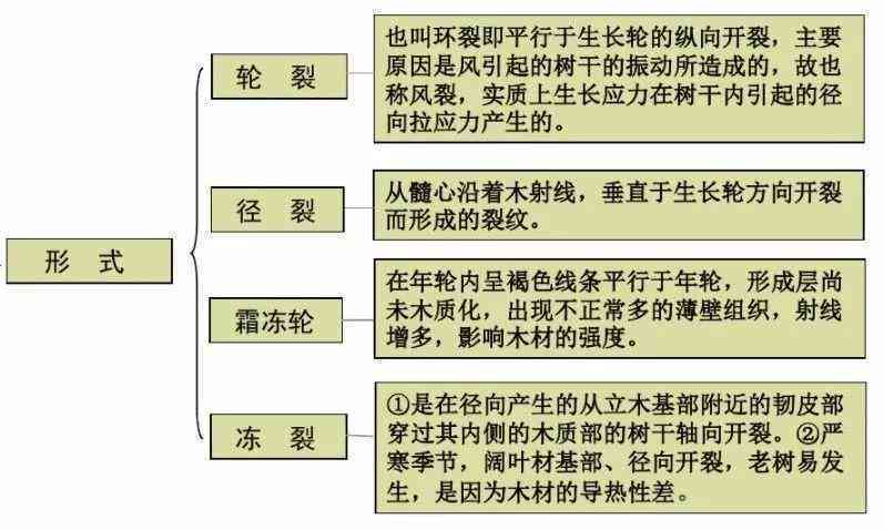 深入解析次元裂缝：概念、成因、现象与应用全揭秘