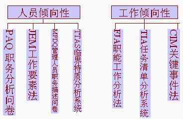 写职能是什么意思：如何撰写职能描述、职位与职能填写示例及解析职能作用