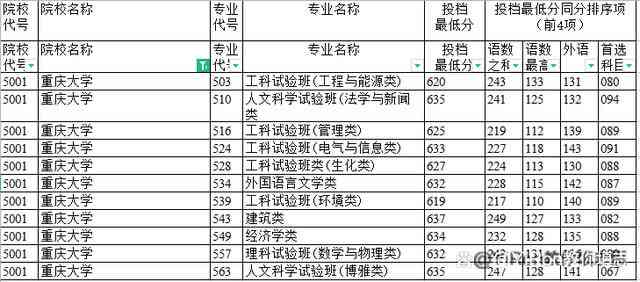 '详解职能性工作含义：如何正确填写工作职能与理解其意义'