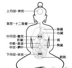 深度解析：腹肌生成贴真的有效吗？全面探讨其原理、效果与实际应用