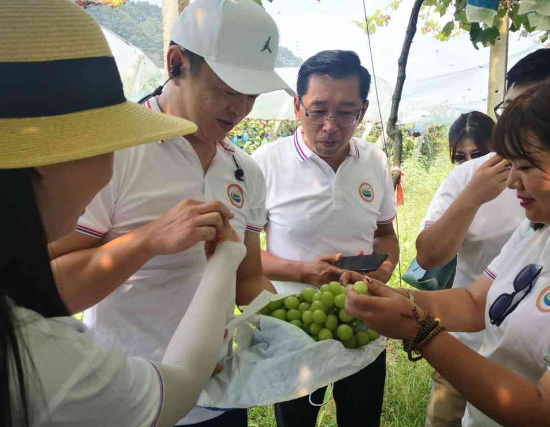 淄博张店区少儿编程机器人培训班——专业培训机构的优质课程