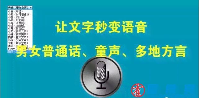 方言语音配音制作：如何将文字转化为视频中的地道方言配音