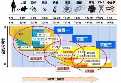 深入解析AI辅助生成边界技术及其在多领域应用的全景指南