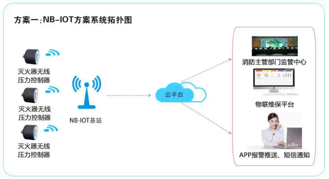 '深圳豆包网络科技：专业网络科技解决方案提供商'