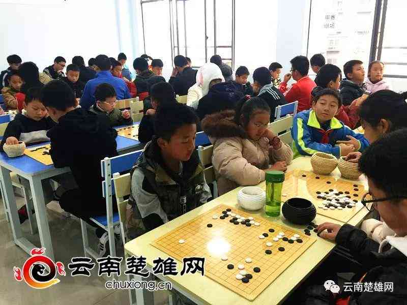 楚雄州教育培训机构：楚雄培训学校一站式教育资源集成