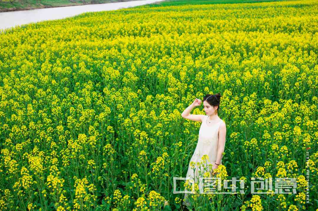 油菜花写真照发朋友圈怎么形容美景引点赞