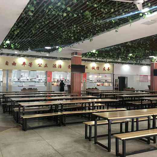 市餐饮ai设计培训学校