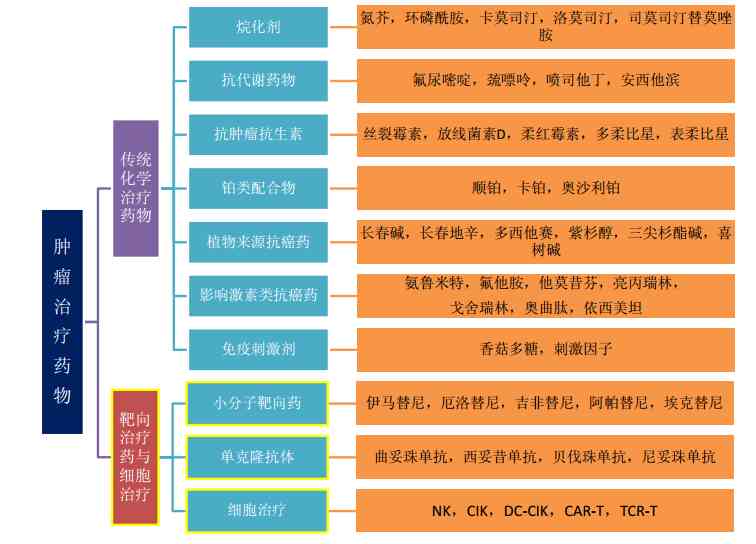 全方位解读：网络实小编开发攻略与实战应用指南