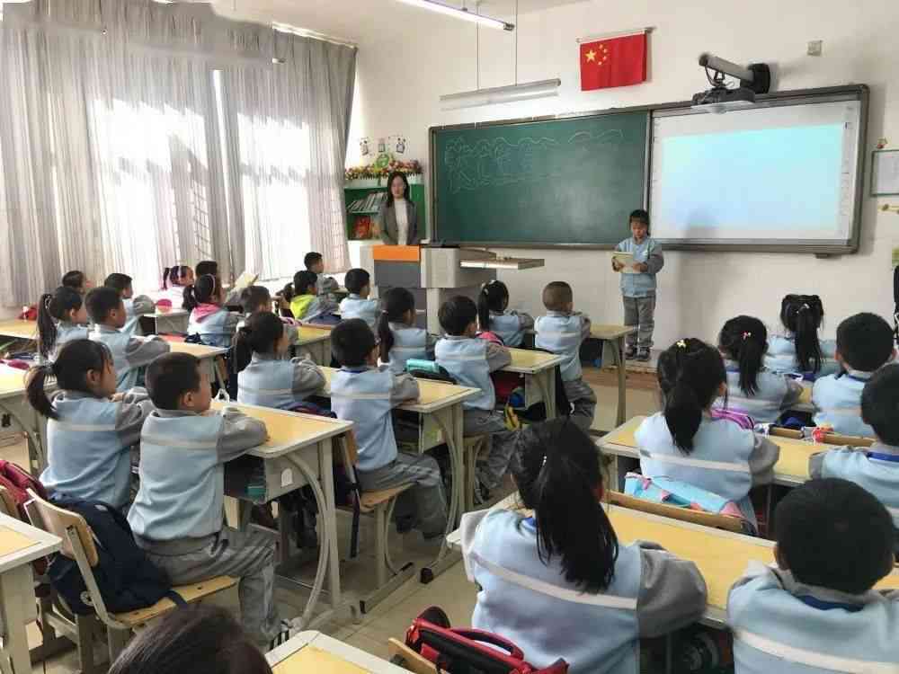 全面启航：幼儿园阶AI编程启与技能培养课程