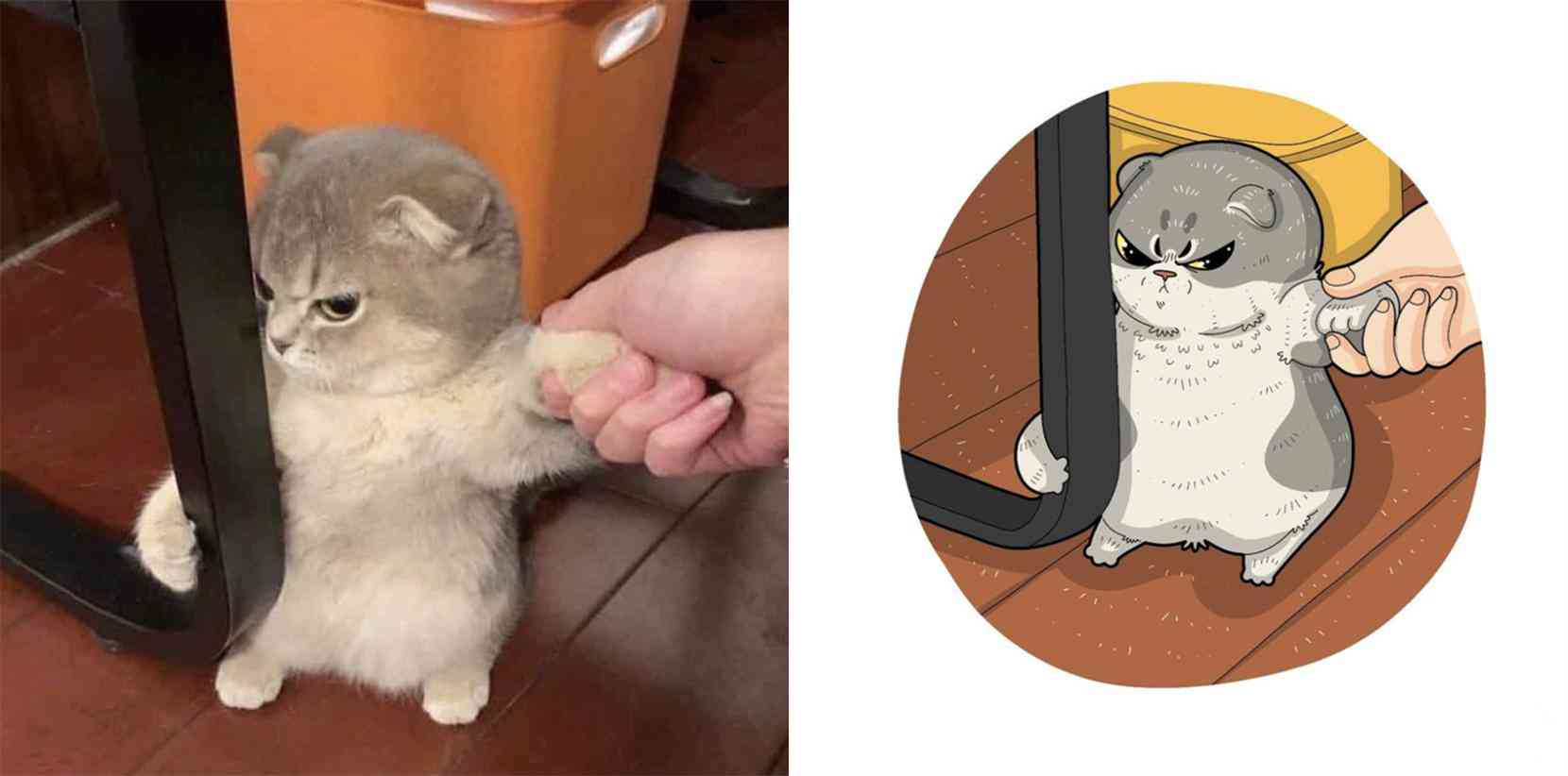 ai绘画自动生成二次元猫猫