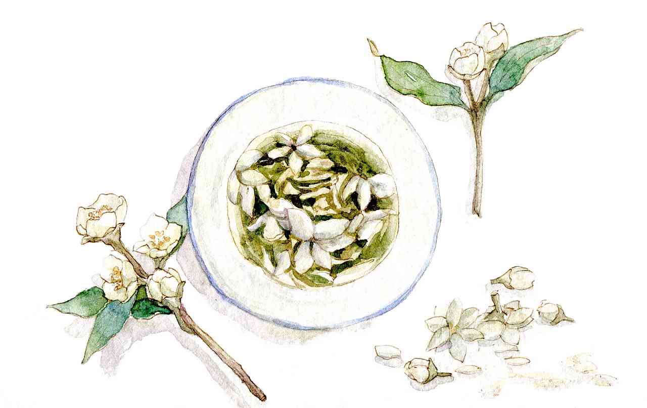 手绘玫瑰花茶与茉莉花茶插画：融合茶文化元素的背景素材设计作品集