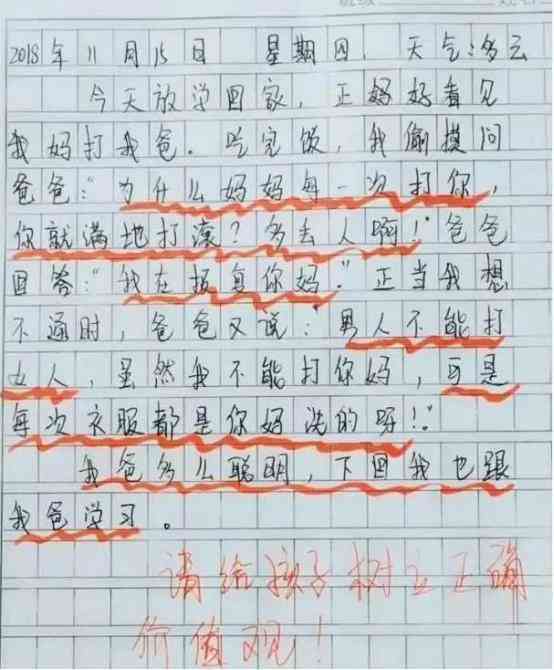 精选800字闯关作文多篇汇编：涵各类主题，助力学生全面提升写作技能