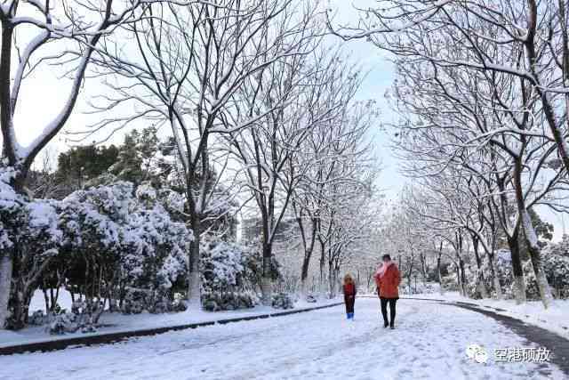 轻颜ai雪景文案