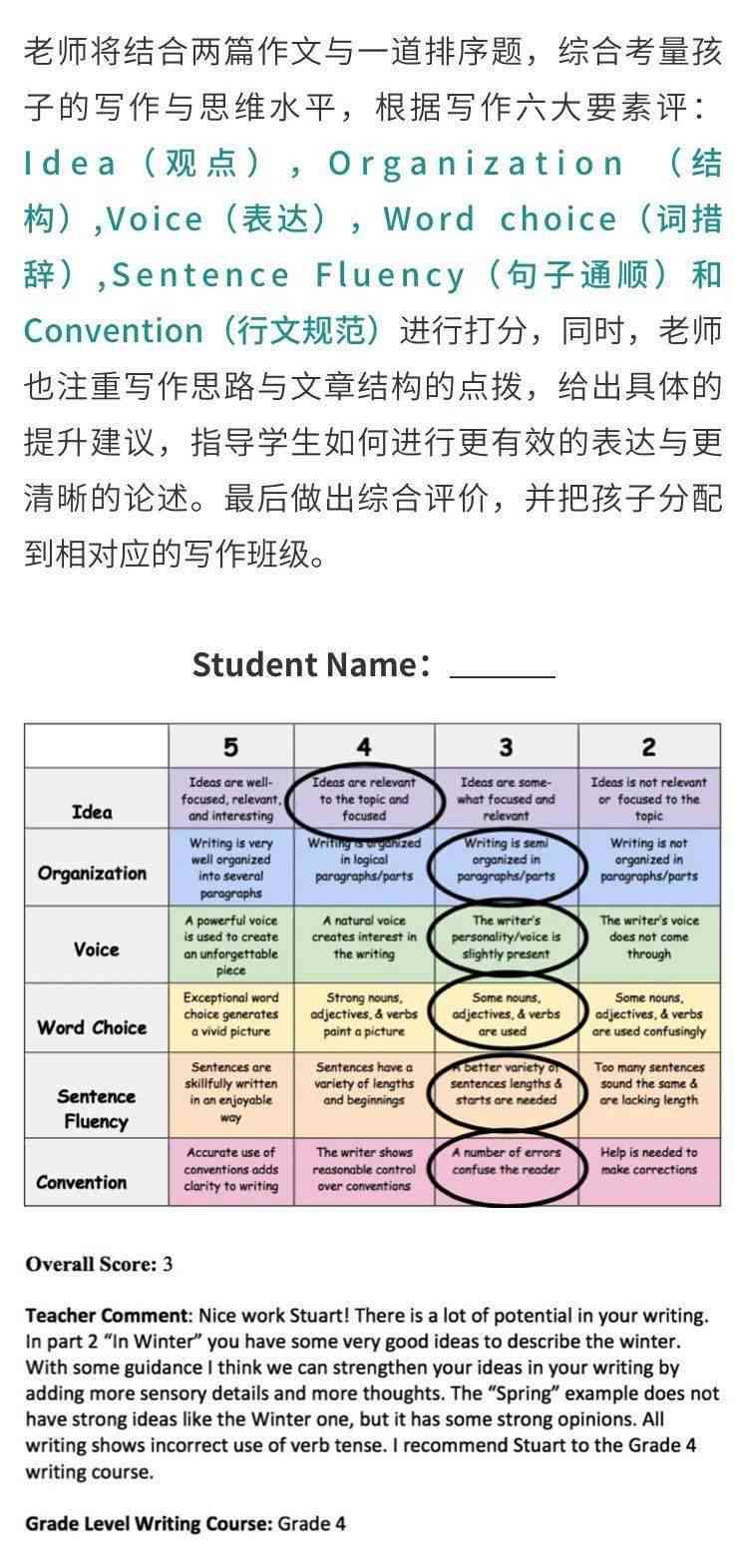 英语作文生成软件：推荐与优劣对比指南