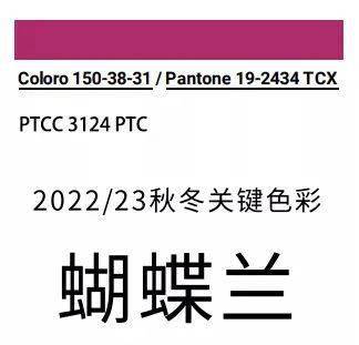 如何利用AI技巧生成具有字体色差效果的文案：颜色与文字的完美融合技巧