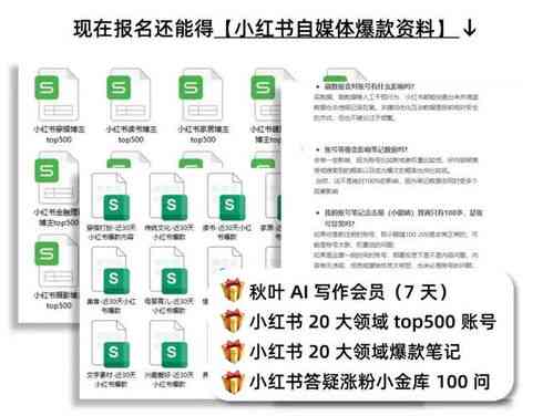 全面解析：自媒体创作多样化类型与内容创作指南