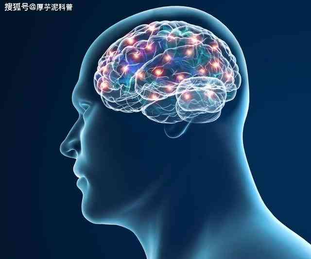 深入探索大脑奥秘：神经科学、认知功能与心理健全解析