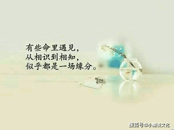 一个唯美干净的朋友圈文案：简短走心的句子，美的让人心动