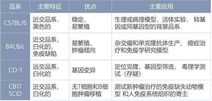 超声质量控制详解：构建质控指标文库，全面提升超声质量与控制水平