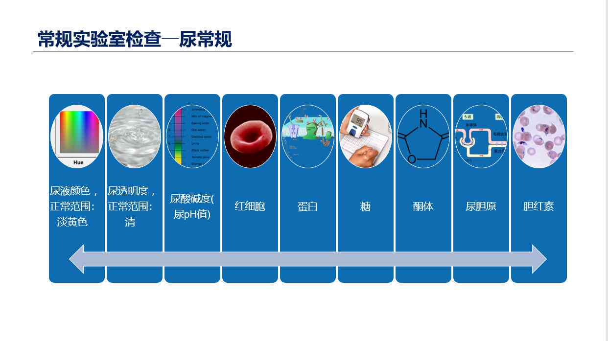 全面解读AI血液检查报告单：如何分析指标、识别异常与了解健状态